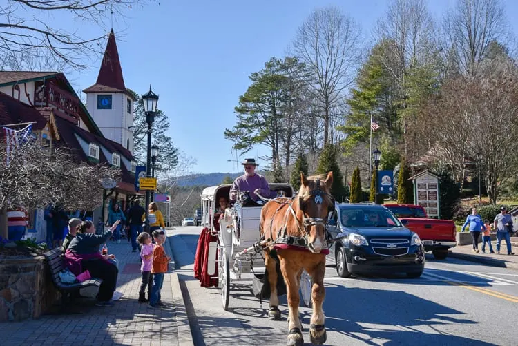 helen-ga-horse-drawn-carriage-ride