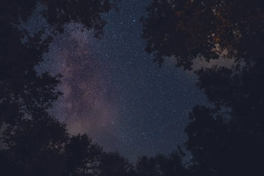 Pisgah National Forest