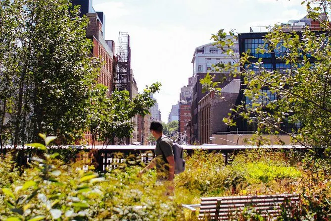 high-line-nyc