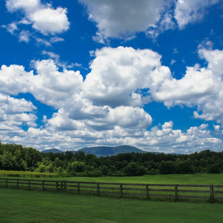 64 Date Ideas in Virginia Beach Romantic Things to do in Virginia Beach