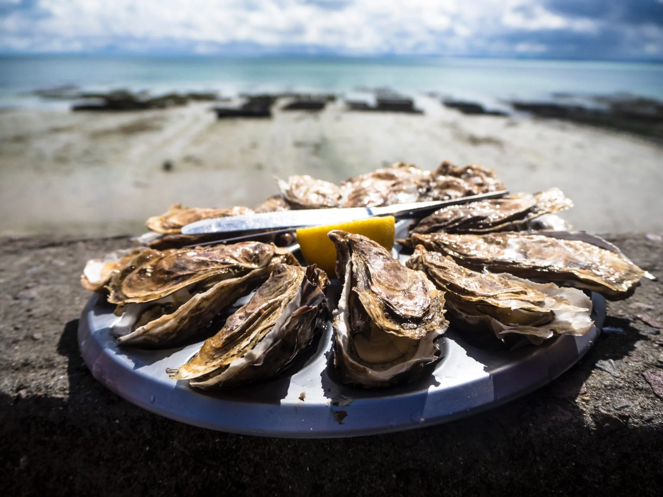 oysters-in-virginia-beach