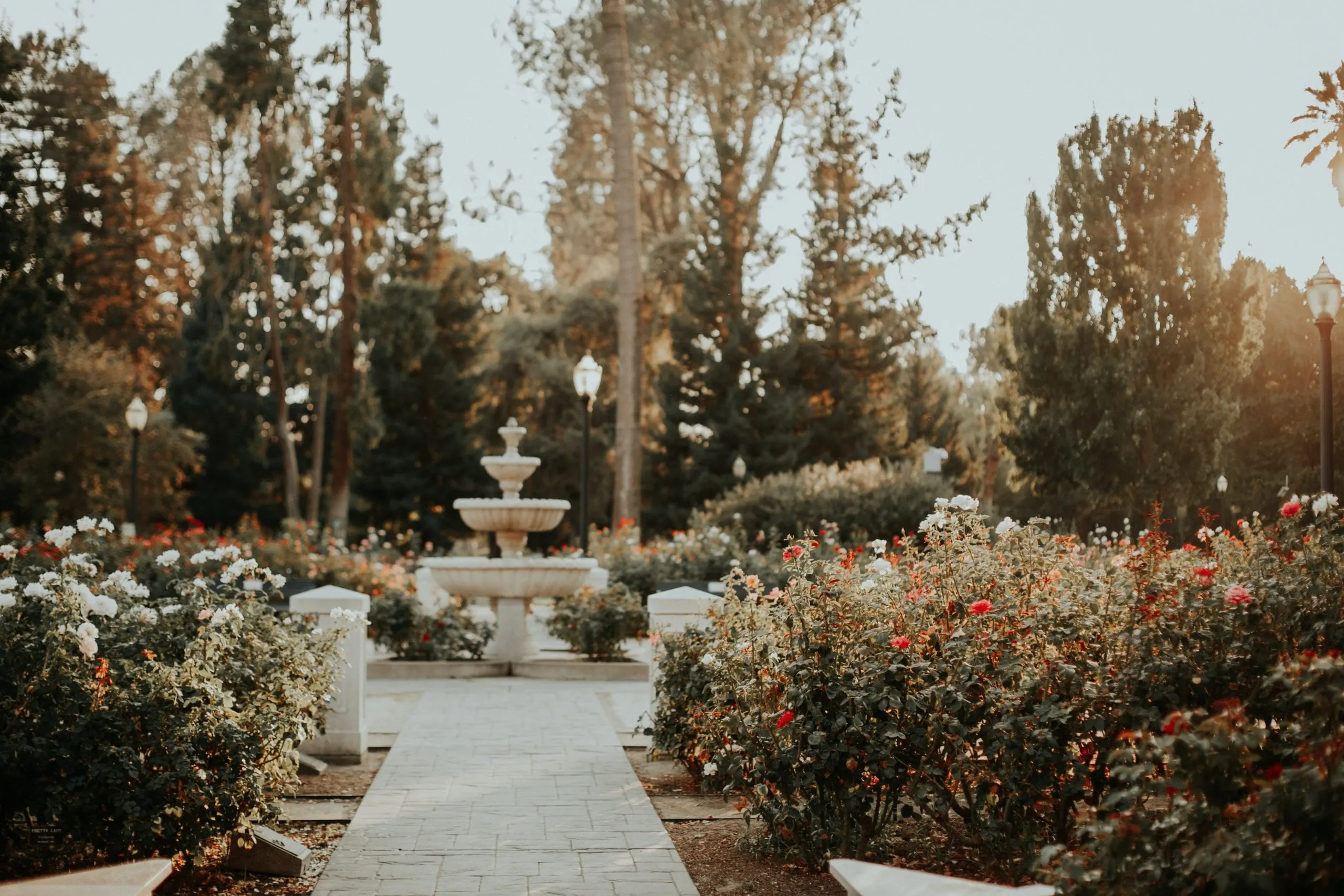 International World Peace Rose Gardens, Sacramento, United States