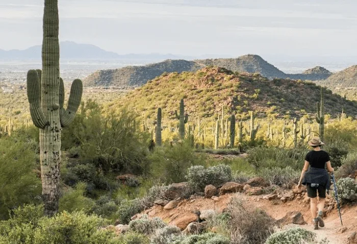 date-ideas-in-mesa - Usery Mountain Regional Park