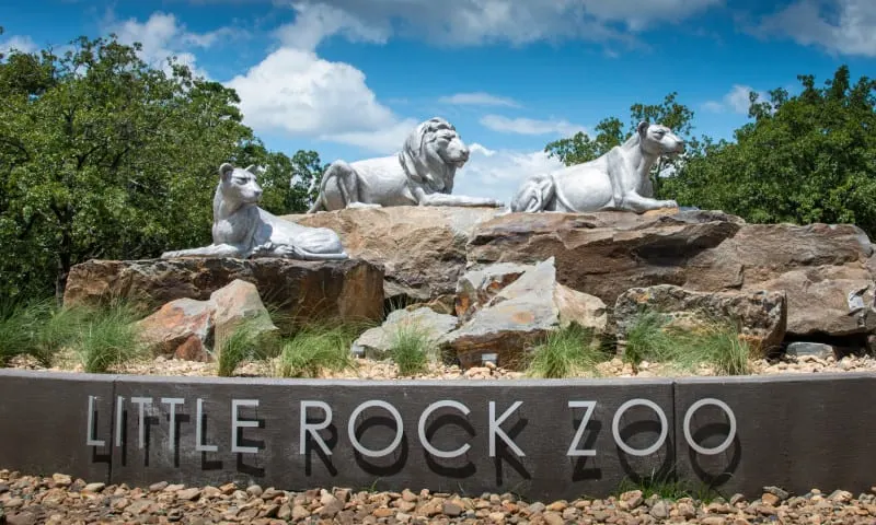 little-rock-zoo-things-to-do
