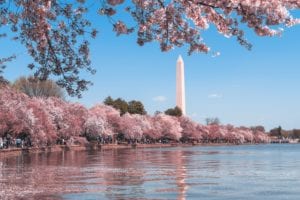 Washington DC date ideas: 50+ Romantic things to do for Couples