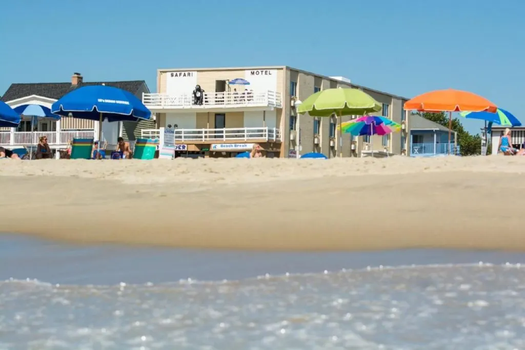 safari-hotel-boardwalk