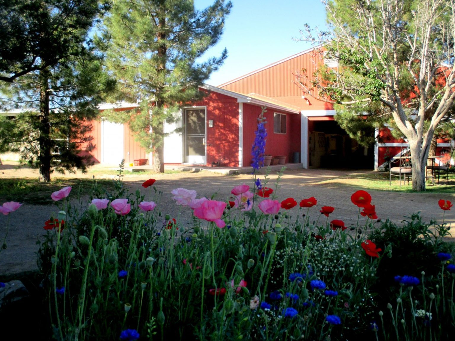 El Paso Date Ideas 50+ Romantic Things to do for Couples