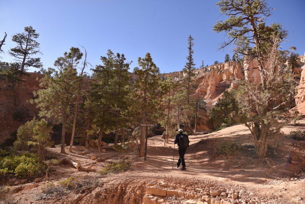 hiking-bryce-national-park