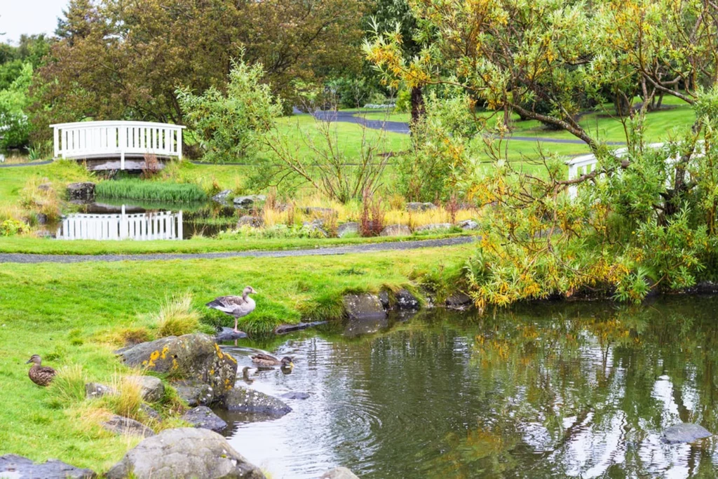 Reykjavik Botanical Gardens