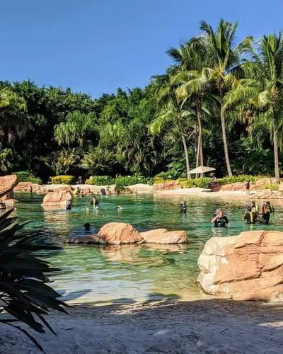 Discovery-Cove-florida.