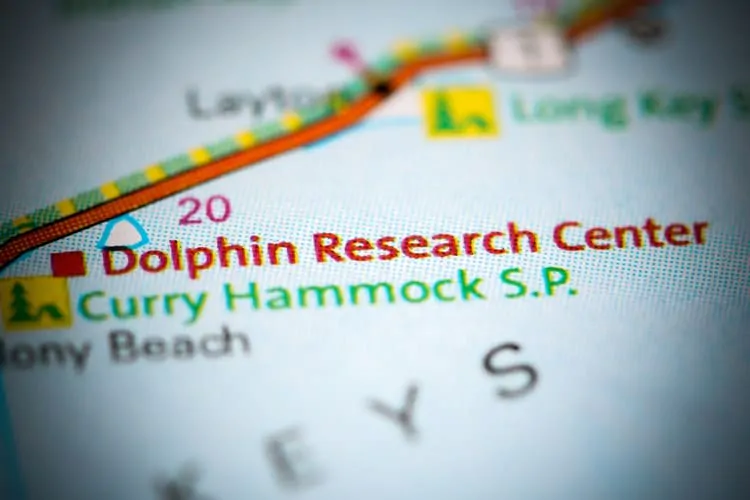 Dolphin-Research-Center.-Florida