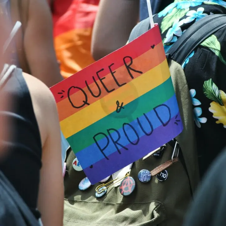 Queer and proud flag What Does LGBTIQCAPGNGFNBA Really Stand For? 