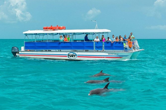 best-places-to-swim-with-dolphins-in-key-west