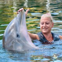 island dolphin care