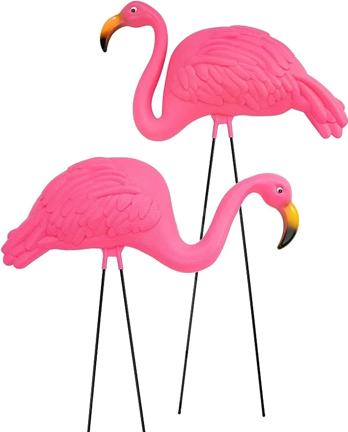 pink-flamingo