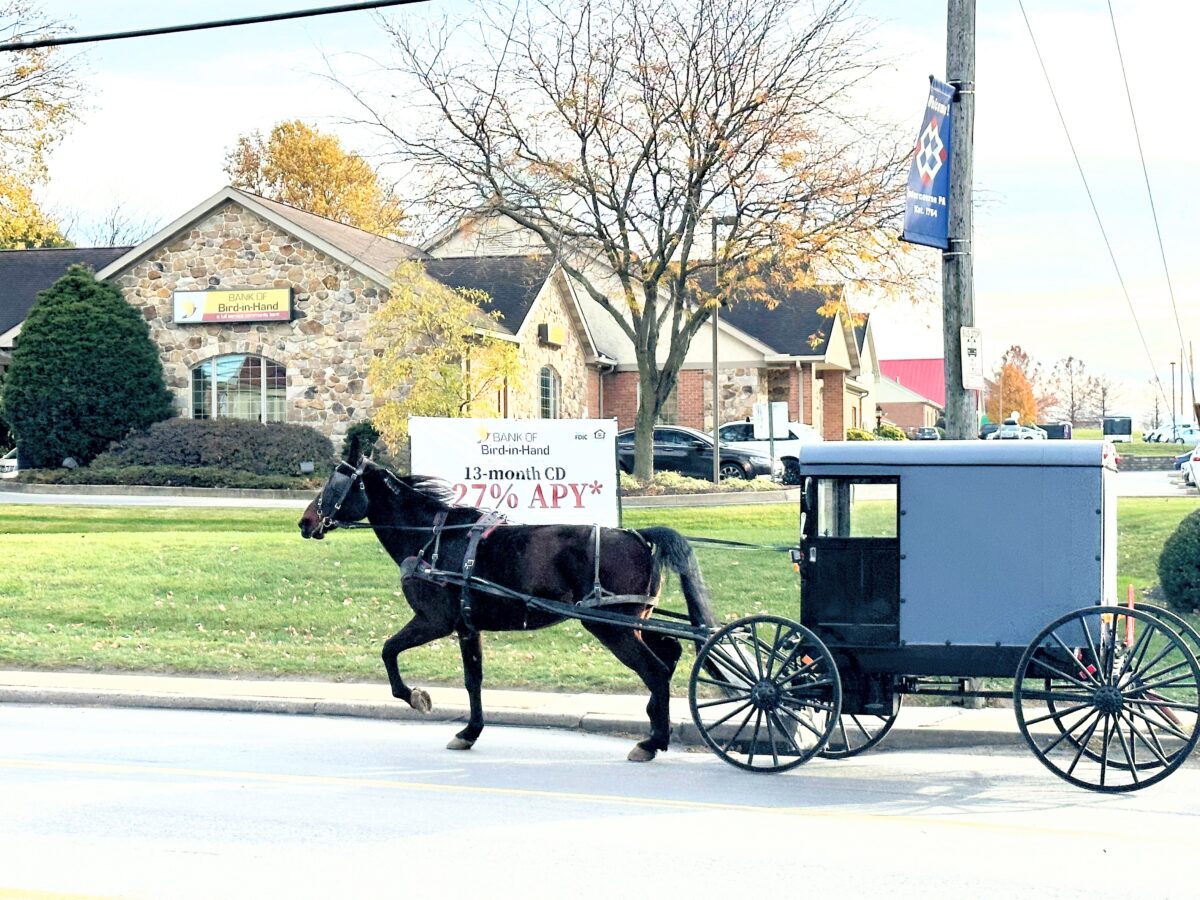 amish near a bank in lancaster pa