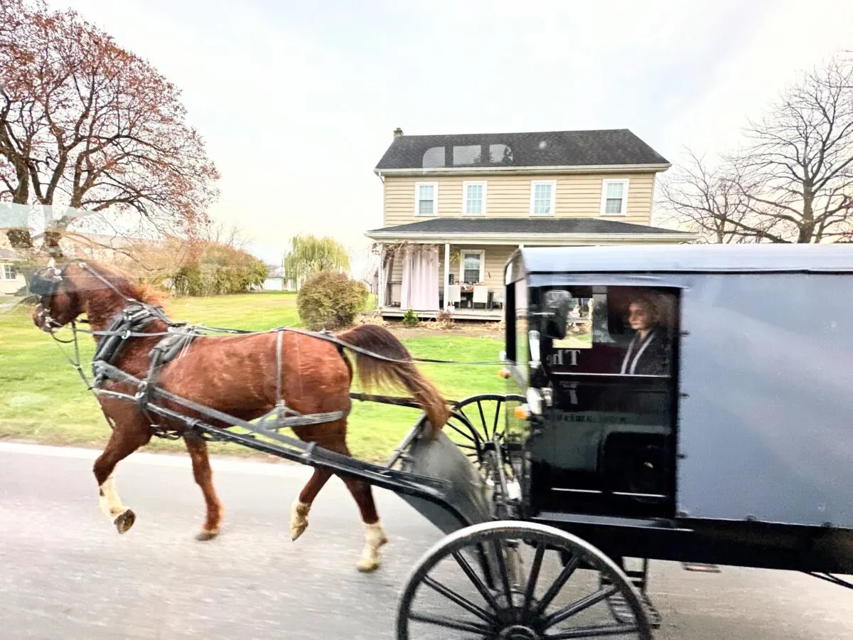 amish things to do in lancaster pa