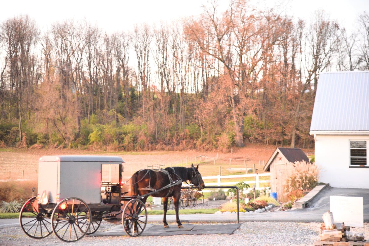 best time of year to visit amish country pa