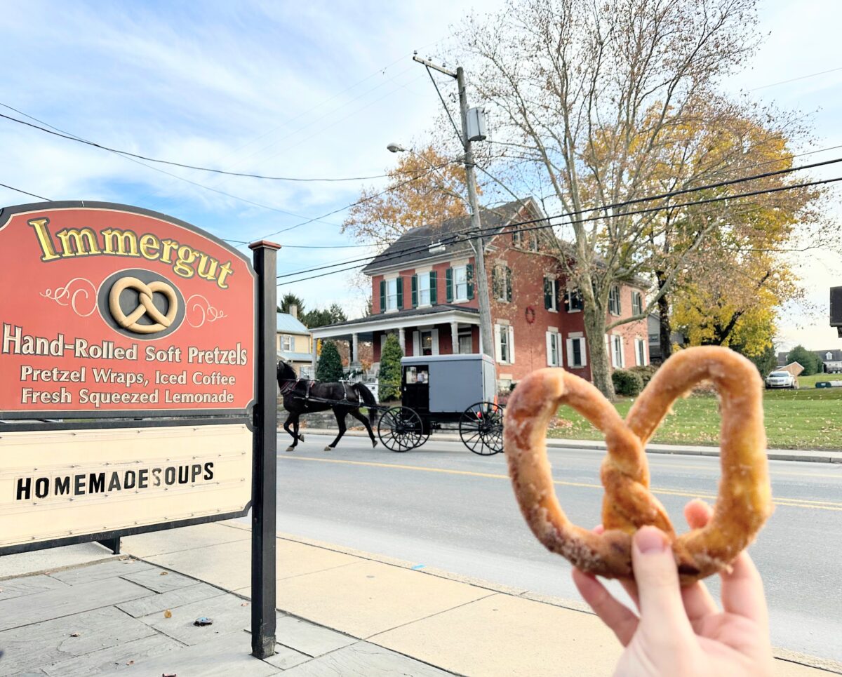 try some amish pretzels in amish country pa